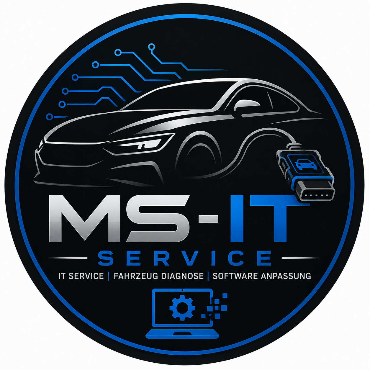 MS-IT Service